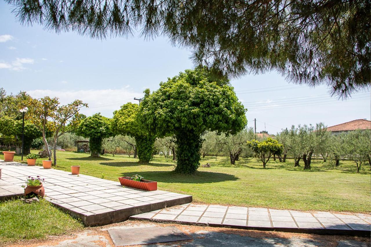Olivemare Holidays Nea Iraklia Exterior photo
